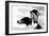 Ziegfeld Model 20's-null-Framed Photo