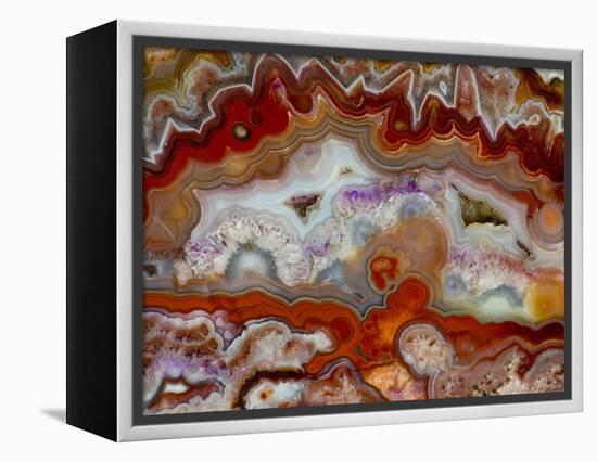 Zig Zag Pattern Crazy Lace Agate-Darrell Gulin-Framed Premier Image Canvas