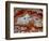 Zig Zag Pattern Crazy Lace Agate-Darrell Gulin-Framed Photographic Print