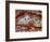 Zig Zag Pattern Crazy Lace Agate-Darrell Gulin-Framed Photographic Print