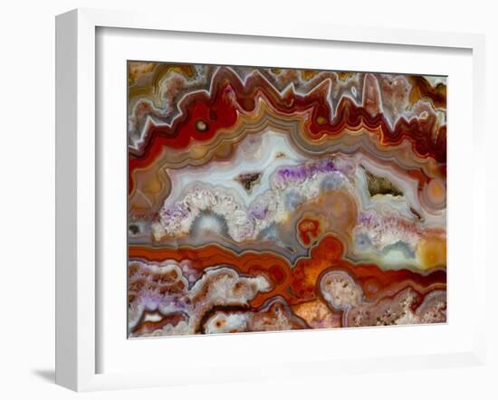 Zig Zag Pattern Crazy Lace Agate-Darrell Gulin-Framed Photographic Print