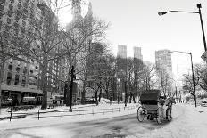 Winter Snow in Central Park, New York City-Zigi-Photographic Print