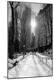 Photographic Print