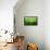 Zigzag-Marcin Sobas-Framed Premier Image Canvas displayed on a wall