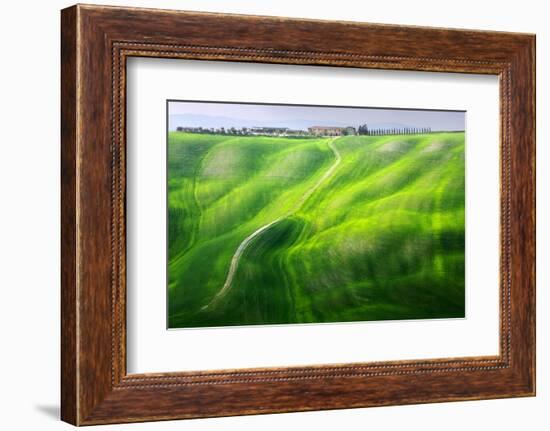 Zigzag-Marcin Sobas-Framed Photographic Print