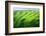 Zigzag-Marcin Sobas-Framed Photographic Print