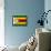 Zimbabwe Flag Design with Wood Patterning - Flags of the World Series-Philippe Hugonnard-Framed Stretched Canvas displayed on a wall