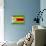 Zimbabwe Flag Design with Wood Patterning - Flags of the World Series-Philippe Hugonnard-Framed Stretched Canvas displayed on a wall