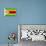 Zimbabwe Flag Design with Wood Patterning - Flags of the World Series-Philippe Hugonnard-Framed Stretched Canvas displayed on a wall