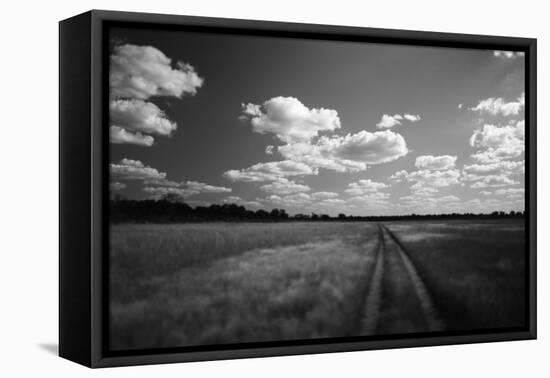 Zimbabwe, View of Road Near Linkwasha Airstrip-Stuart Westmorland-Framed Premier Image Canvas