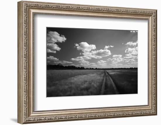 Zimbabwe, View of Road Near Linkwasha Airstrip-Stuart Westmorland-Framed Photographic Print