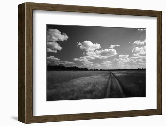 Zimbabwe, View of Road Near Linkwasha Airstrip-Stuart Westmorland-Framed Photographic Print