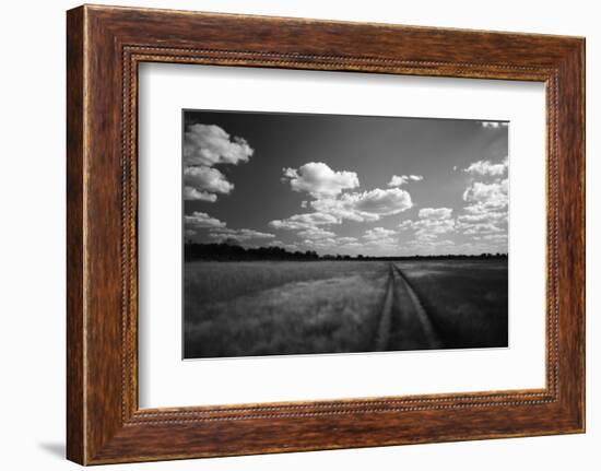 Zimbabwe, View of Road Near Linkwasha Airstrip-Stuart Westmorland-Framed Photographic Print