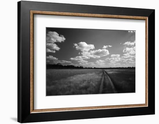 Zimbabwe, View of Road Near Linkwasha Airstrip-Stuart Westmorland-Framed Photographic Print