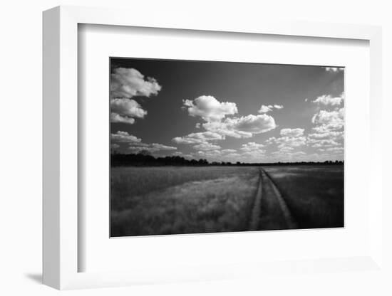 Zimbabwe, View of Road Near Linkwasha Airstrip-Stuart Westmorland-Framed Photographic Print