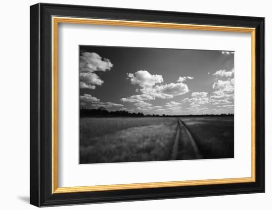 Zimbabwe, View of Road Near Linkwasha Airstrip-Stuart Westmorland-Framed Photographic Print