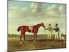 'Zinganee' Held by Sam Chifney Junior with the Owner Mr. William Chifney, at Newmarket, C.1829 (Oil-Benjamin Marshall-Mounted Giclee Print