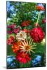 Zinnia Bouquet-Robert Goldwitz-Mounted Photographic Print