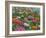 Zinnia Bouquet-Fred Szatkowski-Framed Art Print