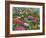 Zinnia Bouquet-Fred Szatkowski-Framed Art Print