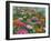 Zinnia Bouquet-Fred Szatkowski-Framed Art Print