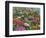 Zinnia Bouquet-Fred Szatkowski-Framed Premium Giclee Print