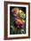 Zinnia Flowers I-Vivienne Dupont-Framed Art Print