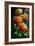 Zinnia Flowers-Vivienne Dupont-Framed Art Print