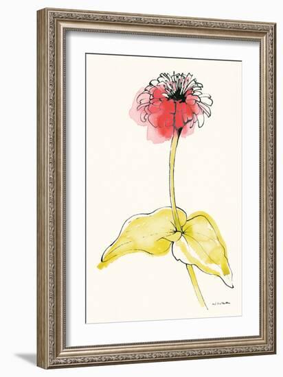 Zinnia II-Shirley Novak-Framed Art Print