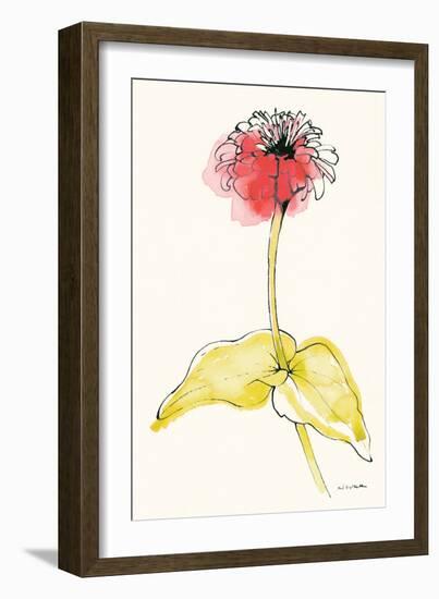 Zinnia II-Shirley Novak-Framed Art Print