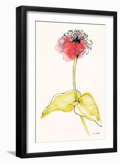 Zinnia II-Shirley Novak-Framed Art Print