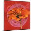 Zinnia Orange sur Pos Rose-Valerie Roy-Mounted Art Print