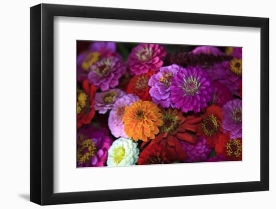 Zinnia's at a Farmer's Market in Savannah, Savannah, Georgia, USA-Joanne Wells-Framed Photographic Print