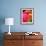 Zinnia, Seattle, Washington, USA-Terry Eggers-Framed Photographic Print displayed on a wall