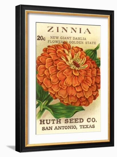 Zinnia Seed Packet-null-Framed Art Print