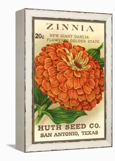 Zinnia Seed Packet-null-Framed Stretched Canvas