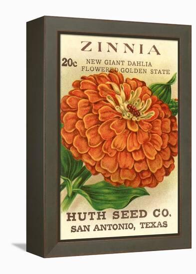 Zinnia Seed Packet-null-Framed Stretched Canvas