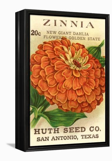 Zinnia Seed Packet-null-Framed Stretched Canvas