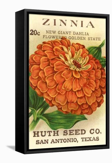 Zinnia Seed Packet-null-Framed Stretched Canvas