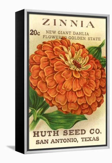 Zinnia Seed Packet-null-Framed Stretched Canvas