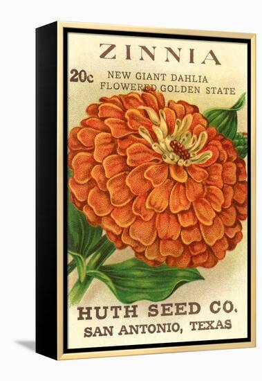 Zinnia Seed Packet-null-Framed Stretched Canvas