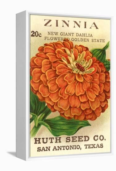 Zinnia Seed Packet-null-Framed Stretched Canvas