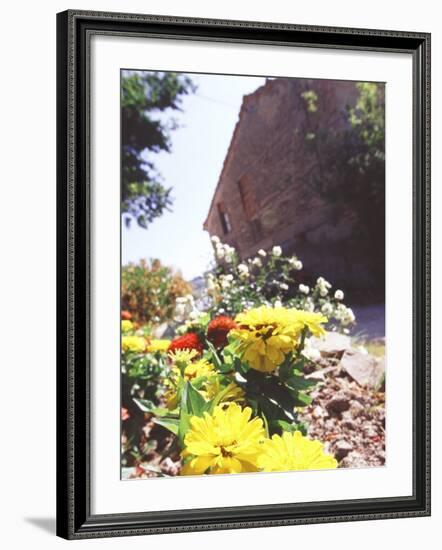 Zinnia Yellow and Red Flowers near Old Country House, Tuscany, Italy-Michele Molinari-Framed Photographic Print