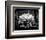 Zinnia-Harold Silverman-Framed Art Print