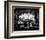 Zinnia-Harold Silverman-Framed Art Print