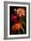 Zinnia-Vivienne Dupont-Framed Art Print