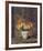 Zinnias And Marigolds-Hermann Dudley Murphy-Framed Art Print