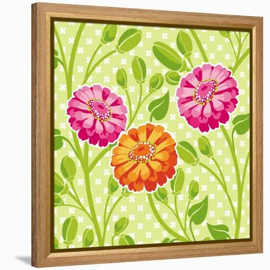 Zinnias I-Patty Young-Framed Stretched Canvas