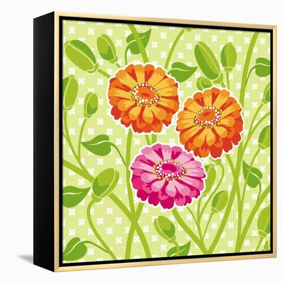 Zinnias II-Patty Young-Framed Stretched Canvas