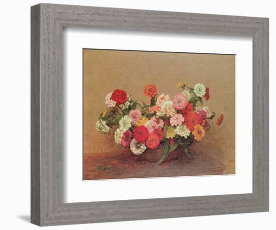 Zinnias in a Glass Bowl, 1886-Henri Fantin-Latour-Framed Giclee Print